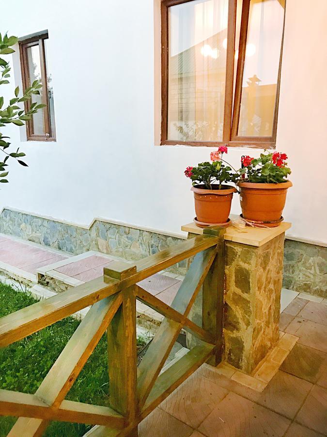 Gabala Sweet Lounge 빌라 외부 사진